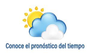 WhatsApp Image 2026-07-25 at 23.10.49 (1)